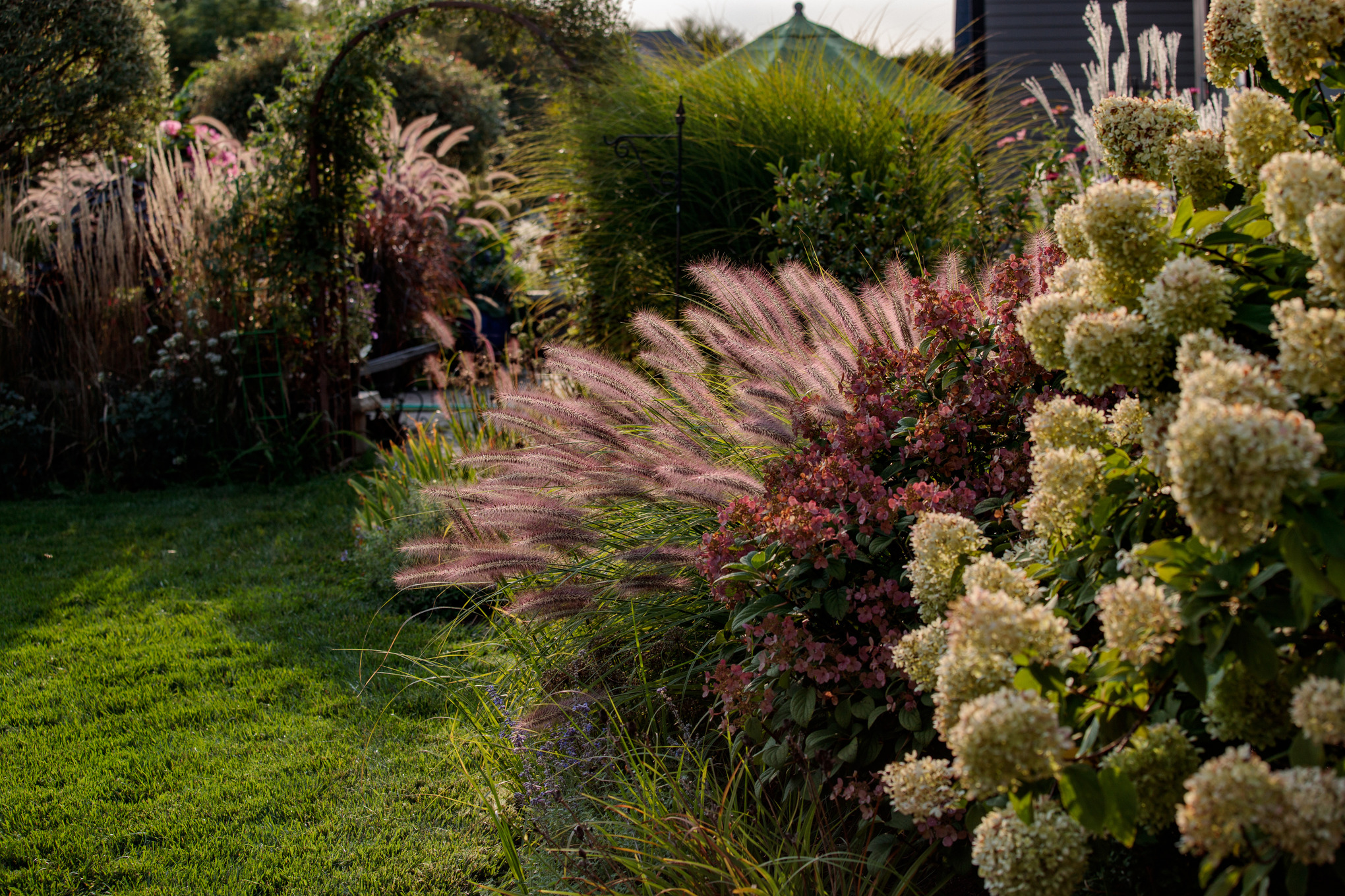 Ziergräser und blühende Sträucher an einer Rasenfläche, im Hintergrund ein bepflanzter Bogen und ein Gartenhaus