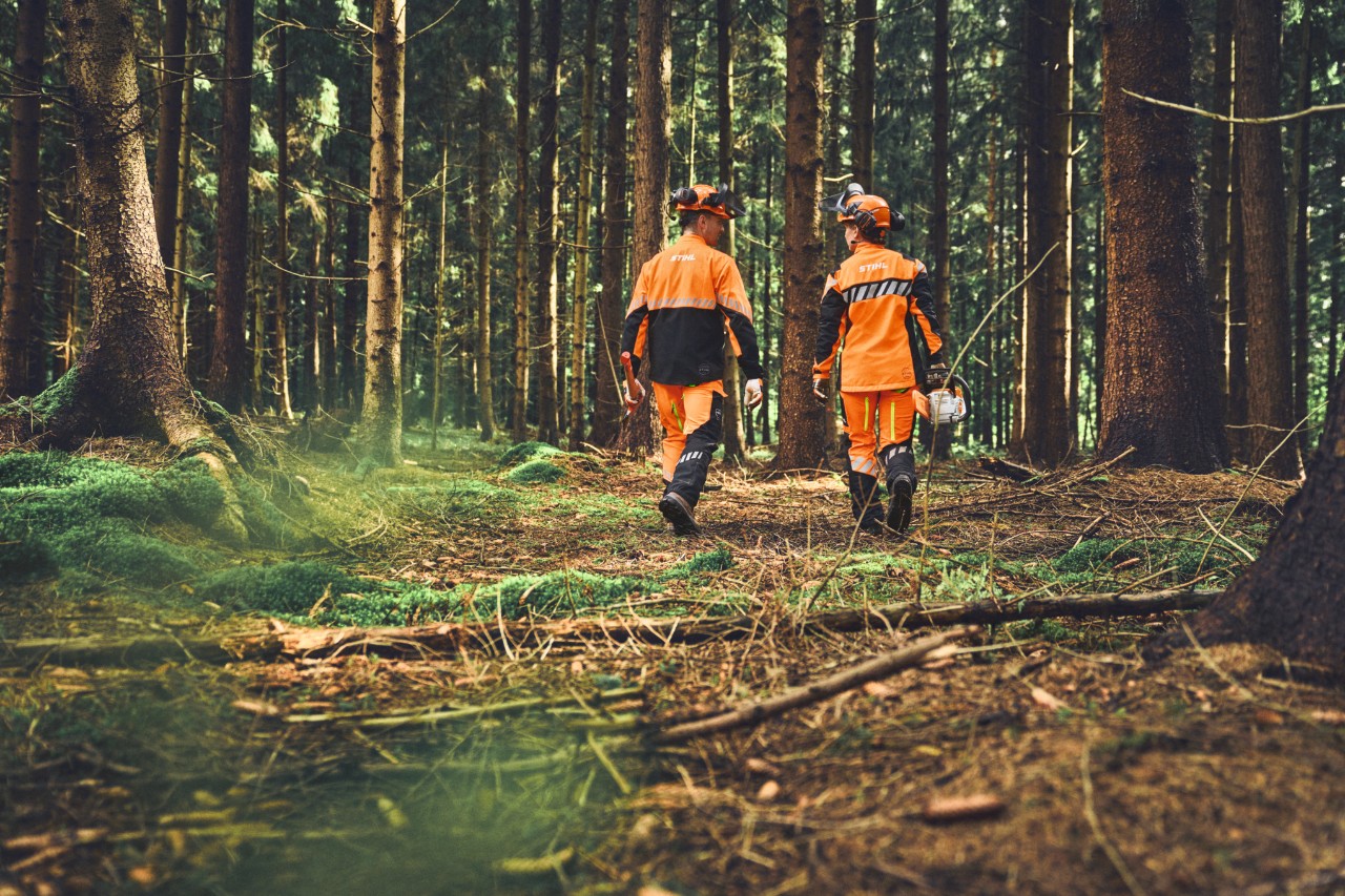 Rückansicht von Waldarbeitern mit bewegungsfreundlicher STIHL Schutzkleidung