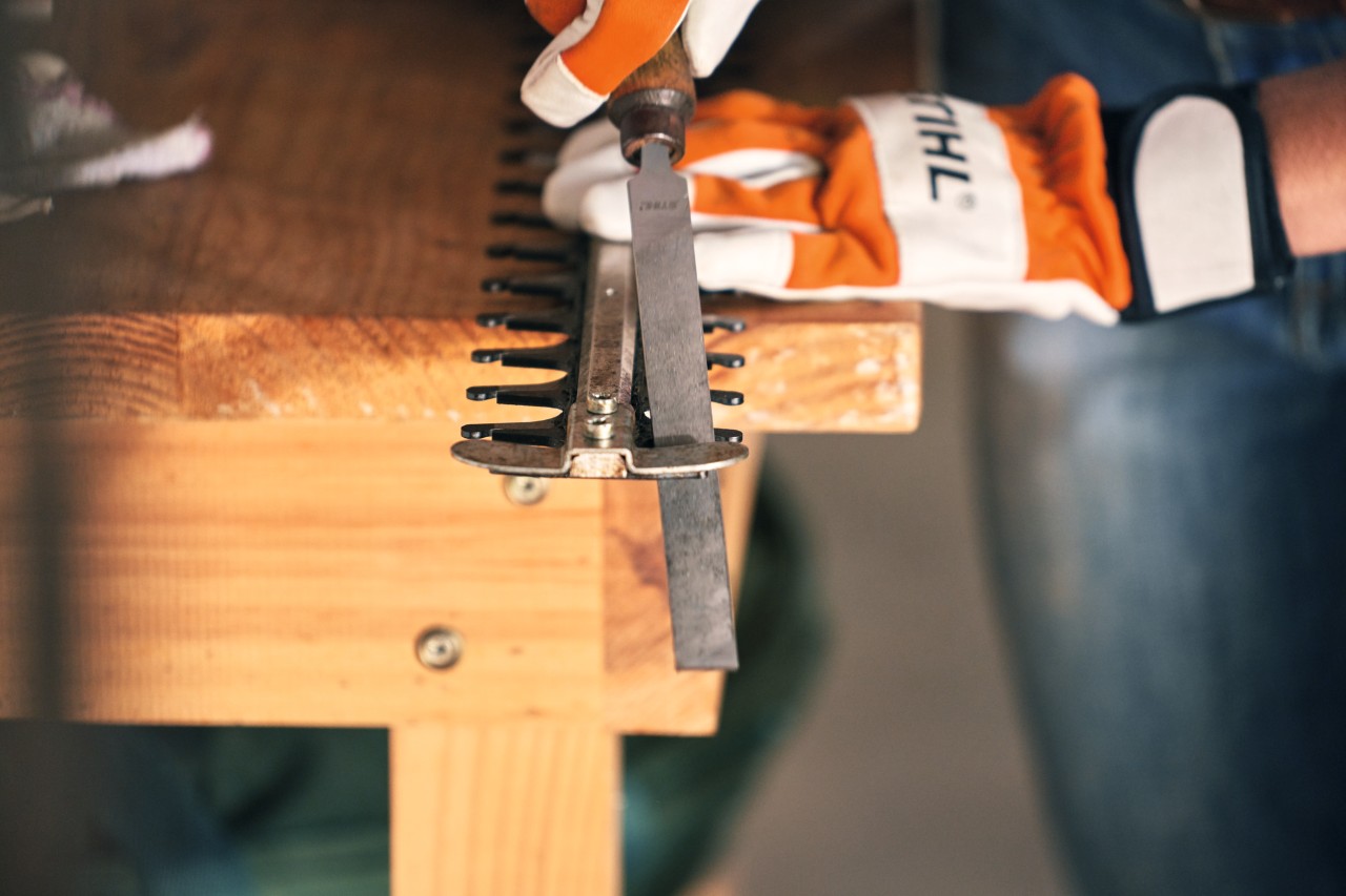 STIHL Akku-Heckenschere HSA 56 wird mit einer Flachfeile geschärft