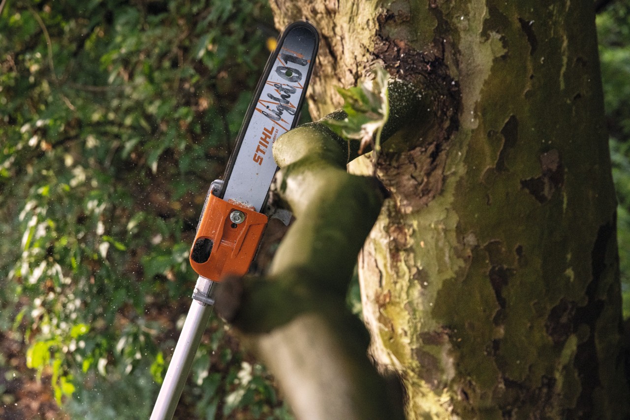 Nahaufnahme des Akku-Hochentasters STIHL HTA 135 beim Absägen eines Astes