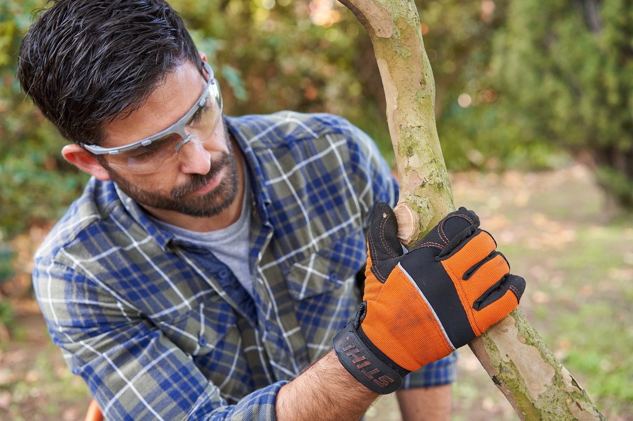 Ein Mann mit STIHL Schutzhandschuhen und Schutzbrille umfasst prüfend einen Ast im Garten
