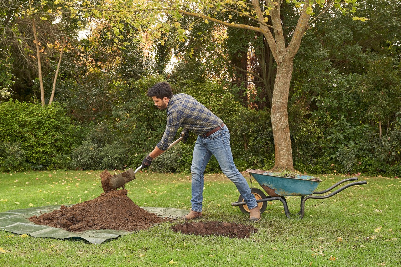 Ein Mann mit STIHL Schutzhandschuhen hebt mit dem Spaten ein Pflanzloch aus, um darin einen Baum zu pflanzen