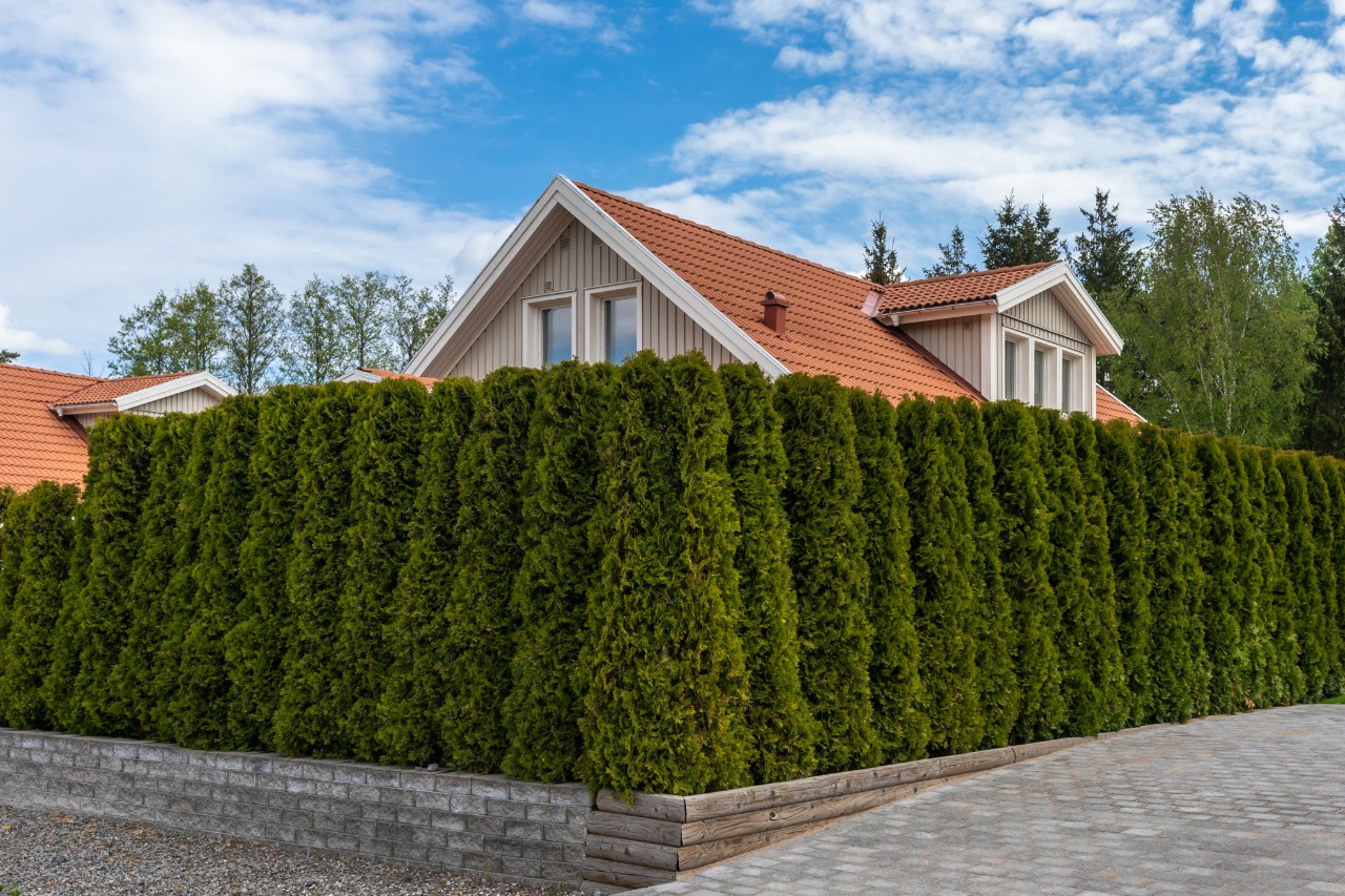 Haus mit Garten, umgeben von einer dichten Hecke