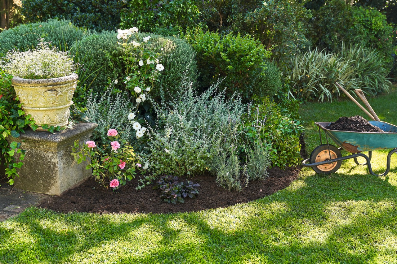 Beet mit Gartenpflanzen, die wenig Wasser brauchen, daneben eine Schubkarre mit Erde und Gartengeräte  
