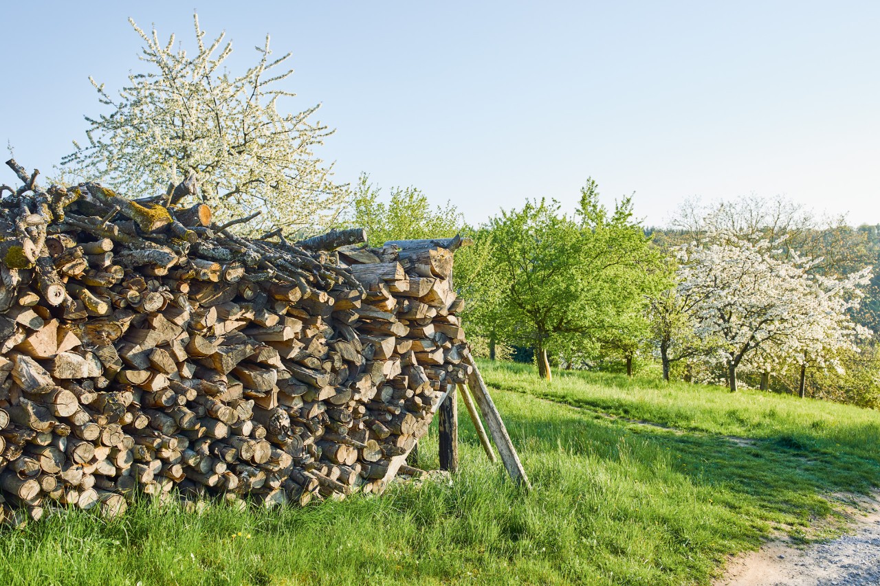Totholzhaufen in einem bienenfreundlichen Garten