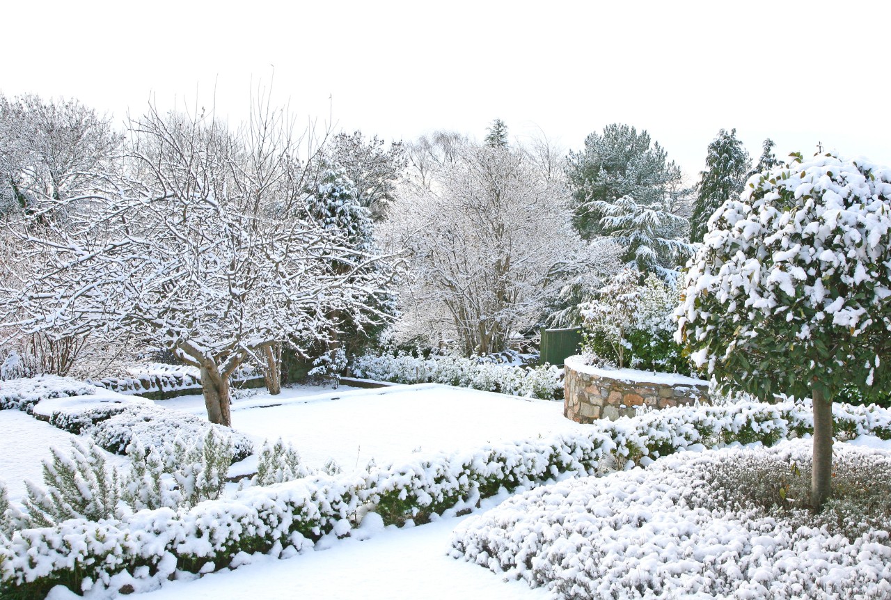 Schneebedeckter Garten im Winter