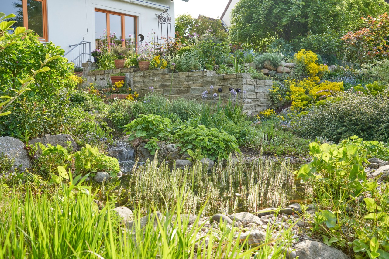 Hanggarten im Frühling mit Steinmauern vor einem Haus 
