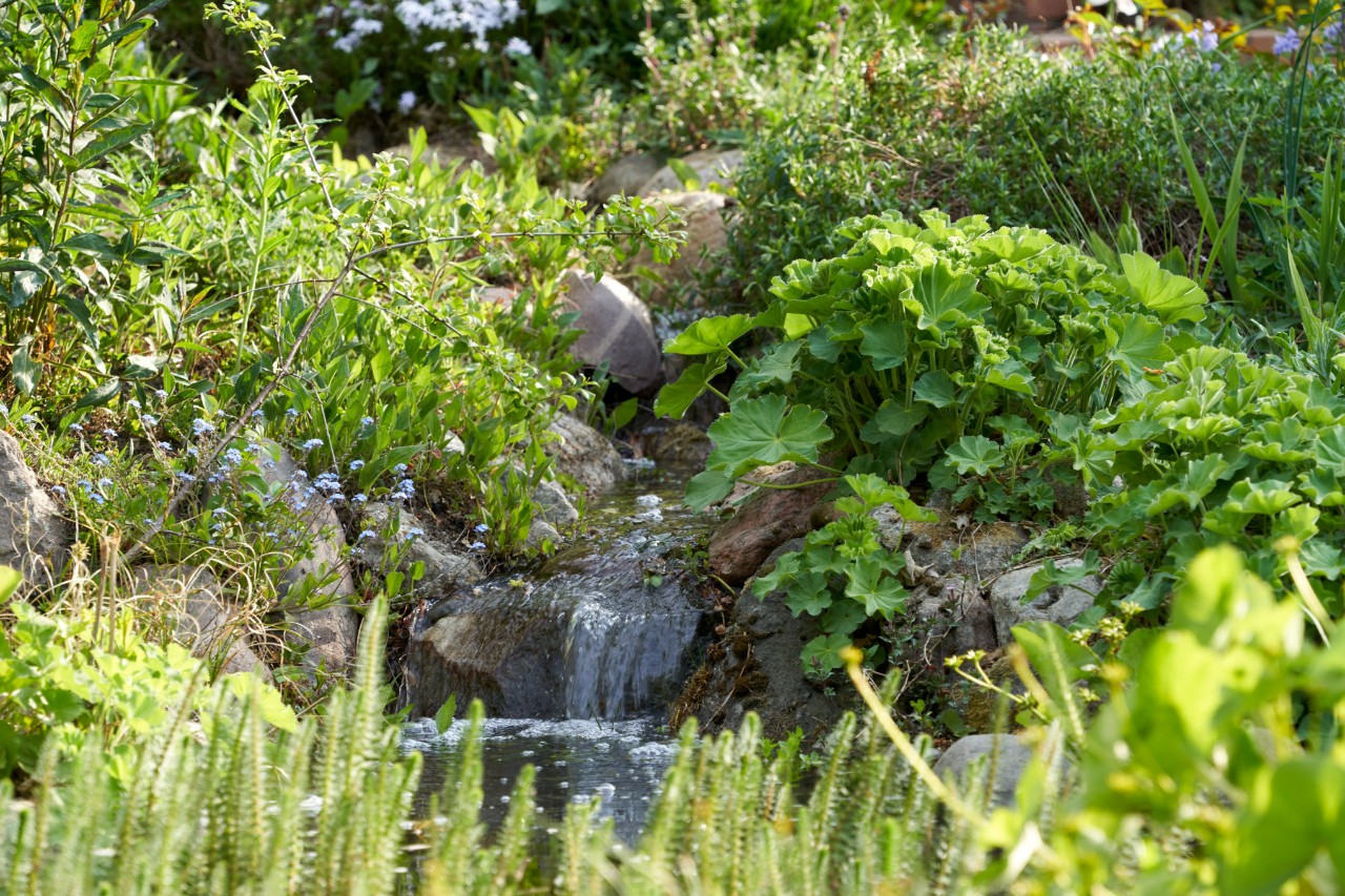 Hanggarten im Frühling mit einem Bachlauf