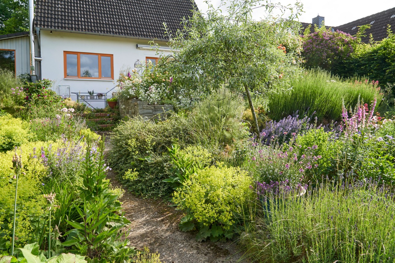 Ein Hanggarten mit einem Gartenweg, der zu einem Haus führt