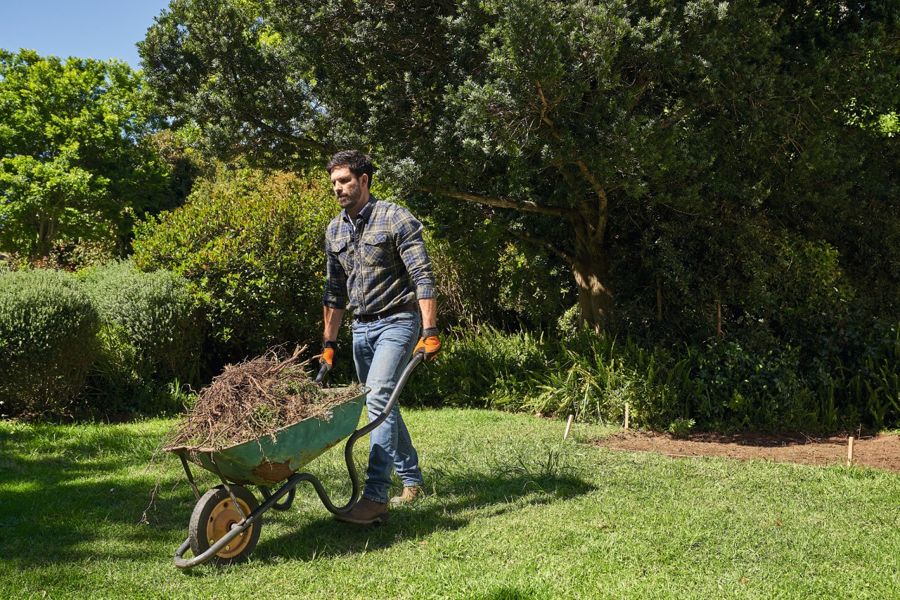 Ein Mann auf einem Gartengrundstück transportiert in einer Schubkarre Gartenabfälle  