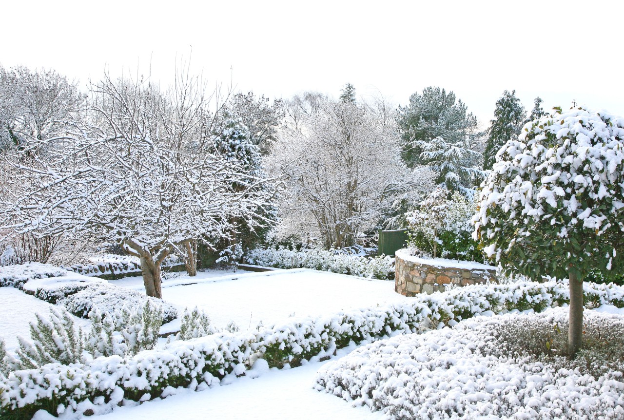 Gartengrundstück mit winterharten Pflanzen und Bäumen