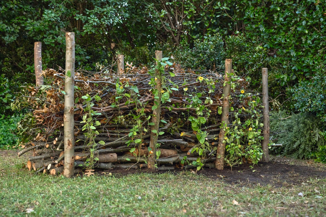 Eine bewachsene Benjeshecke im Garten
