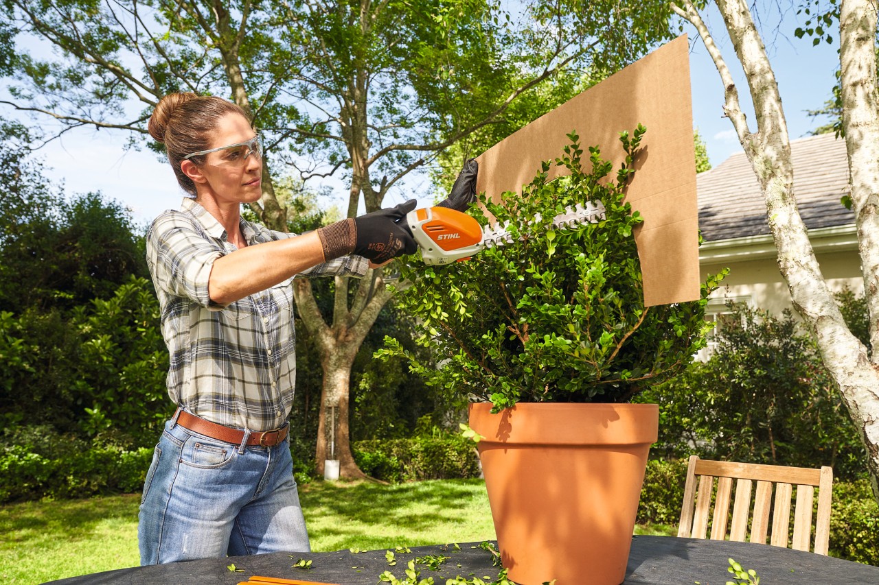 Eine Frau schneidet den Buchsbaum mit der Akku-Strauchschere STIHL HSA 26 mithilfe einer Pappschablone in Kugelform    