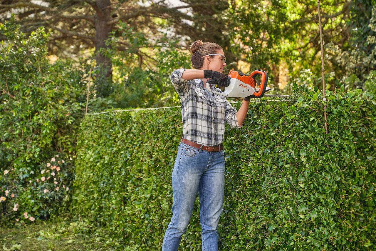 Eine Frau in kariertem Oberteil schneidet mit einer STIHL Akku-Heckenschere eine Kirschlorbeer Hecke in Form