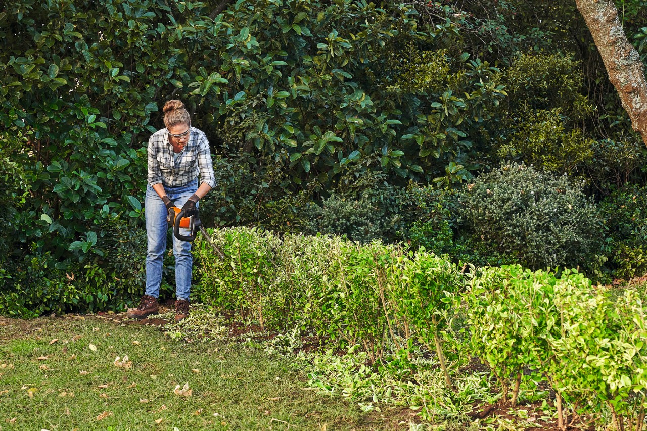 Eine Frau schneidet mit einer STIHL Akku-Heckenschere eine Ligusterhecke