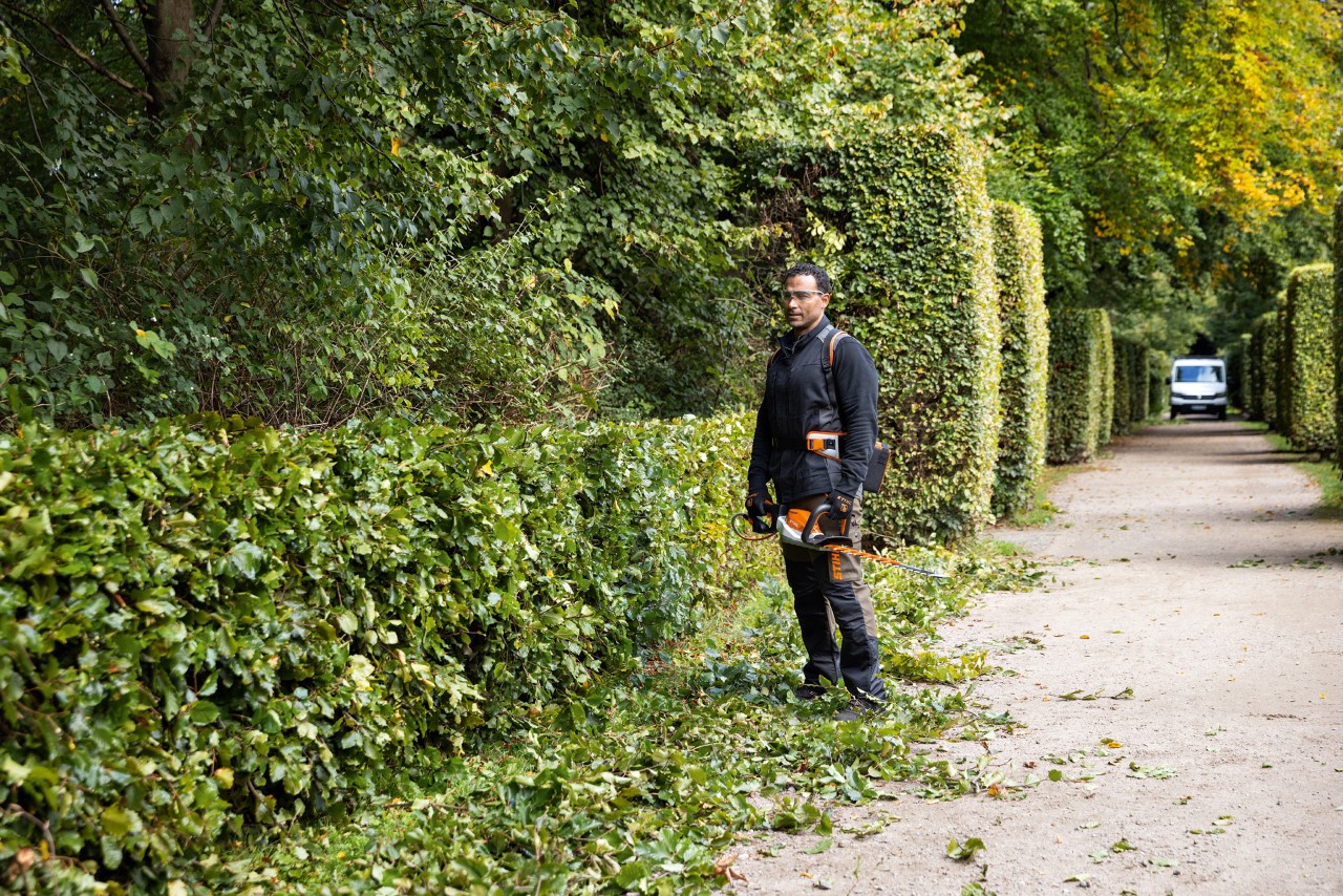Mann mit STIHL Schutzausrüstung und STIHL Akku-Heckenschere HSA 26 steht auf Heckenschnitt neben einer flachen Hecke im Park