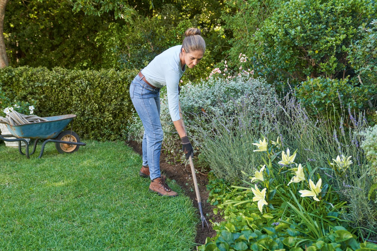 Frau mit STIHL Schutzhandschuhen lockert Boden der englischen Rasenkante zwischen Rasenfläche und Beet mit Harke 