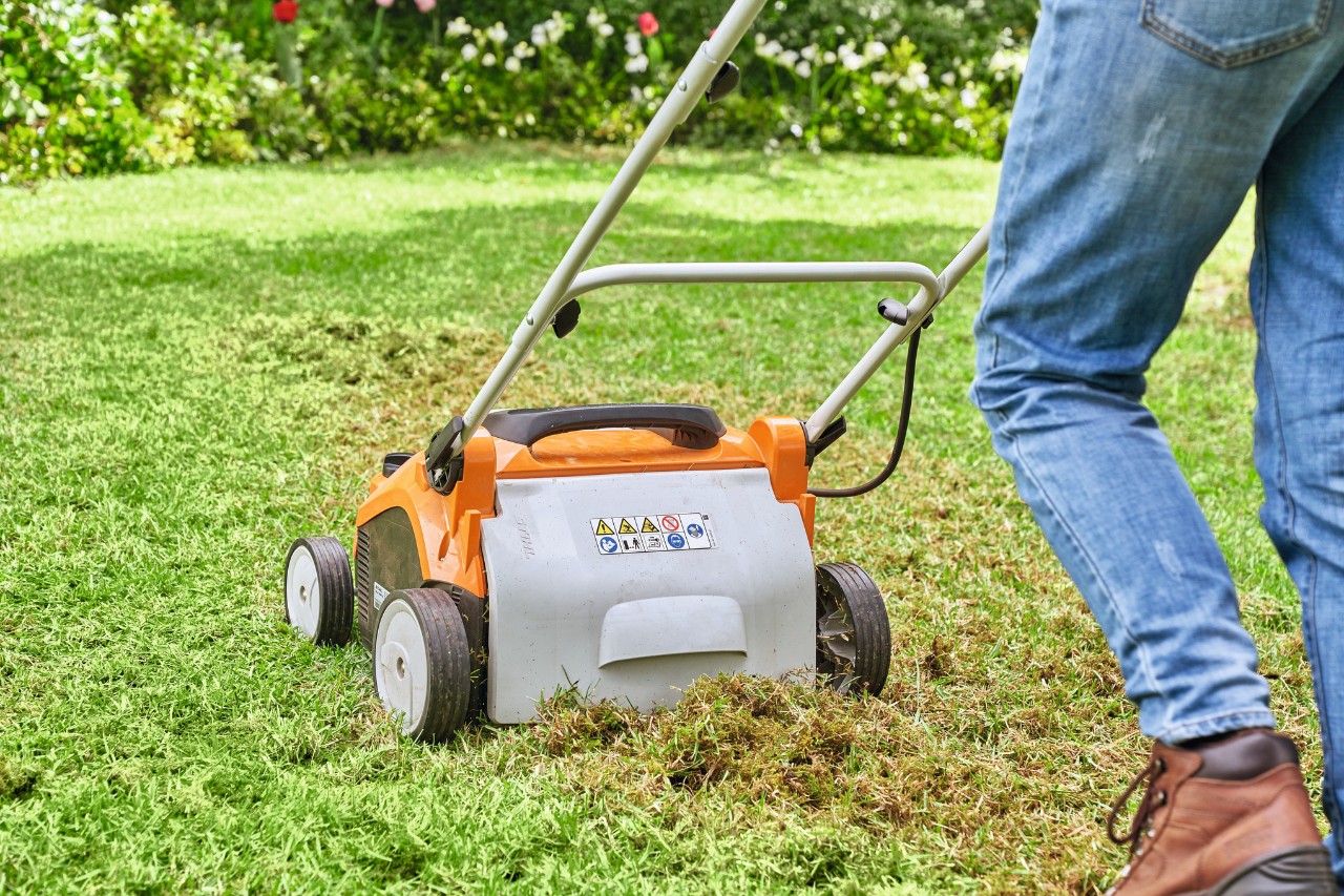 Rückenansicht einer Person, die mit einem STIHL Elektro-Rasenlüfter RLE 240 den Rasen vertikutiert 