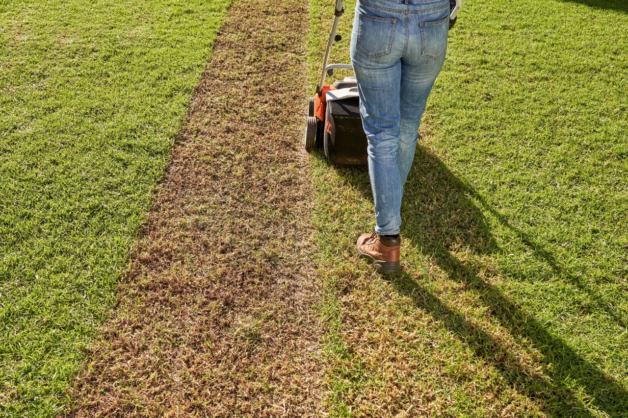 Frau lüftet Rasen mit STIHL Akku-Rasenlüfter RLA 240