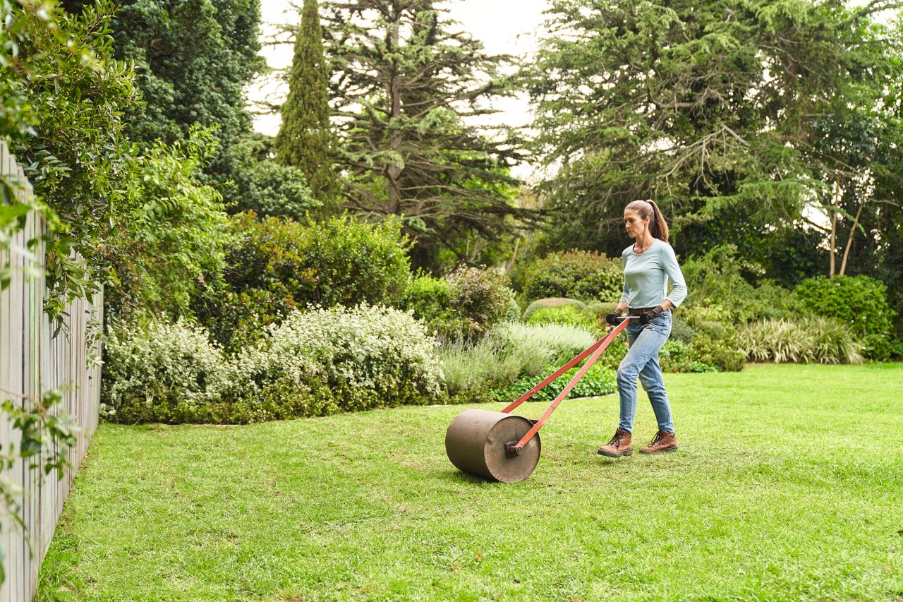 Frau nutzt Walze auf fertig verlegtem Rollrasen in großem Garten
