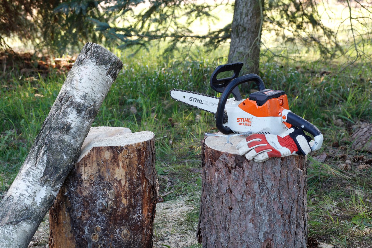 STIHL MSA 140 C und Schutzhandschu liegen auf einem Baumstumpf bereit, um Kerzen aus Holz selber zu machen