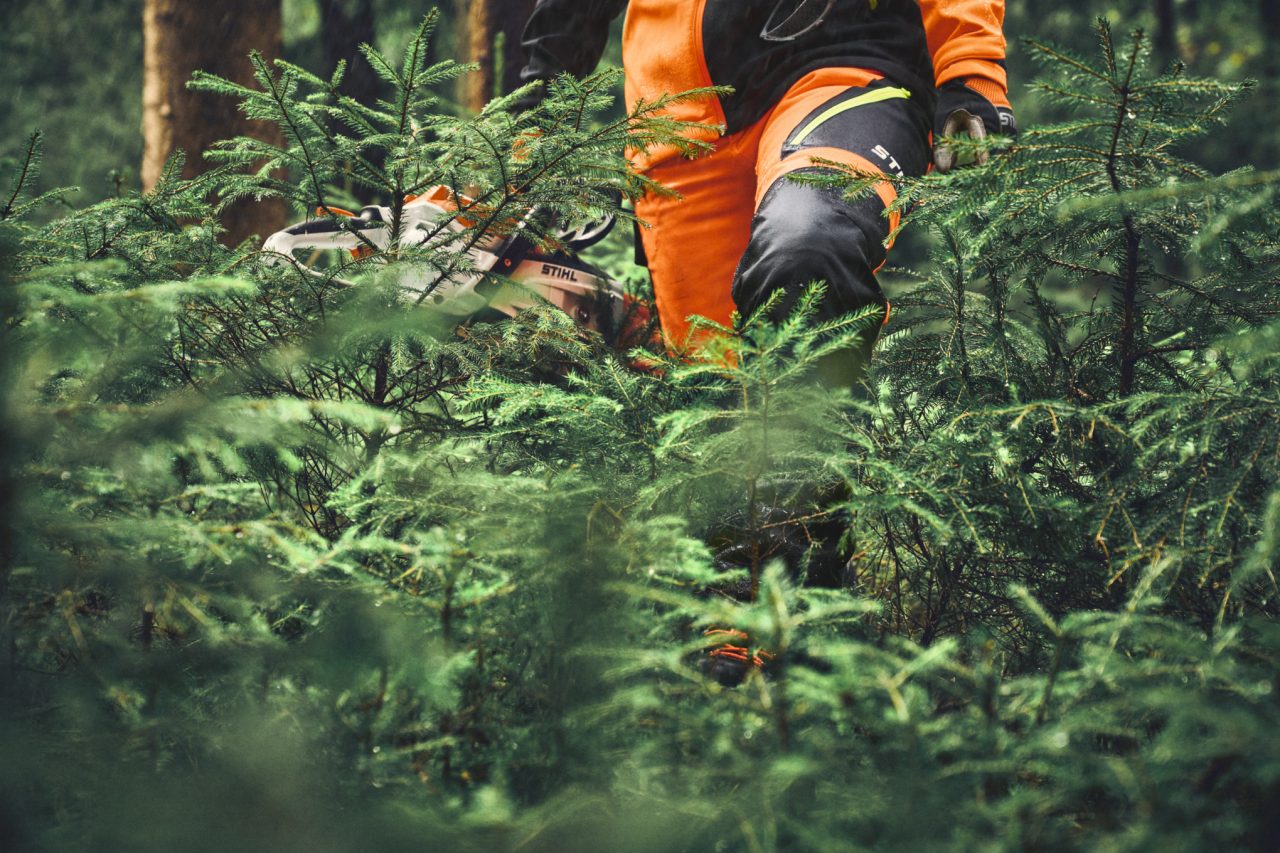 Nahaufnahme einer STIHL ADVANCE FlexTEC ShellTEC Hose im Nadelwald